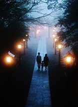 夜霧の参道